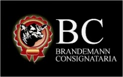 Brandenmann Consignataria S.R.L.