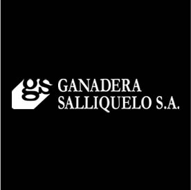 Ganadera Salliqueló S.A.