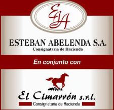 Esteban Abelenda - NO USAR