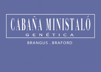 Ministalo