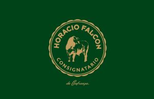 Horacio Falcon