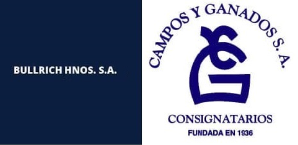 Bullrich Hnos S.A. & Campos y Ganados S.A.