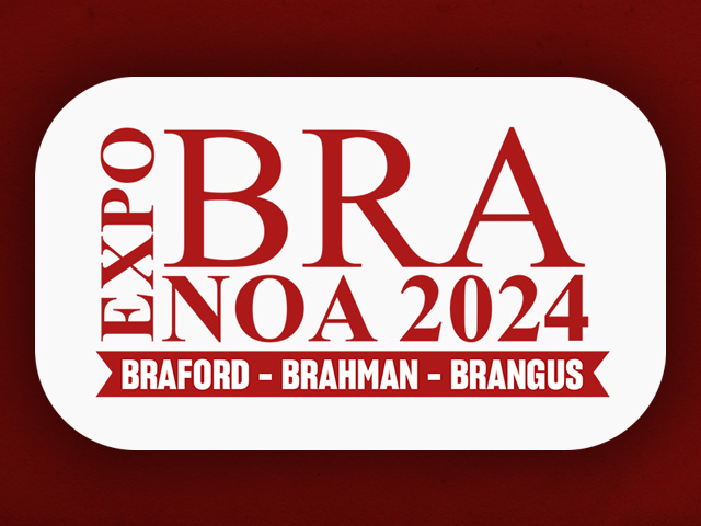 ExpoBRA