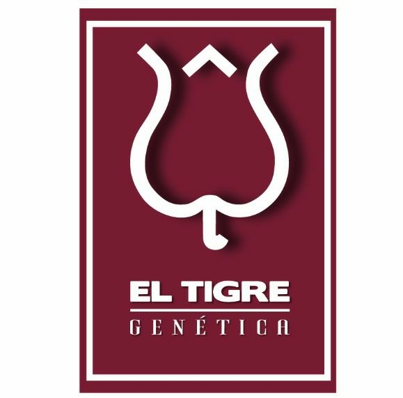Cabaña El Tigre