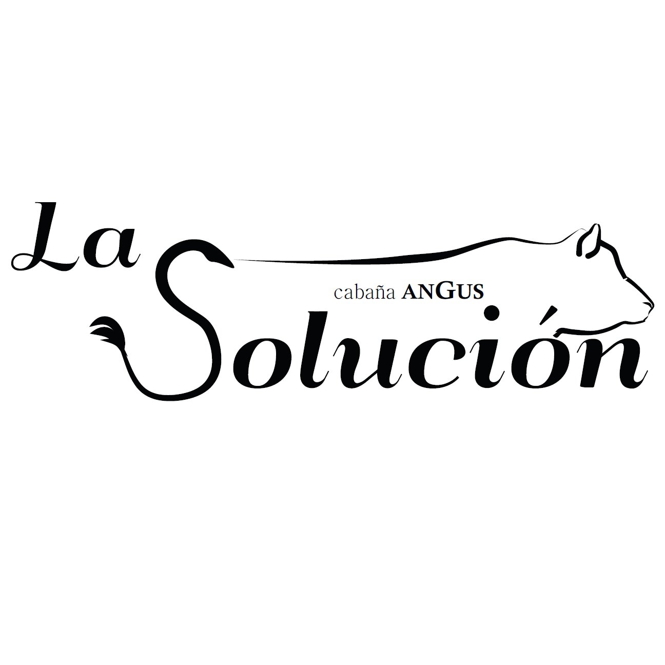 La Solución