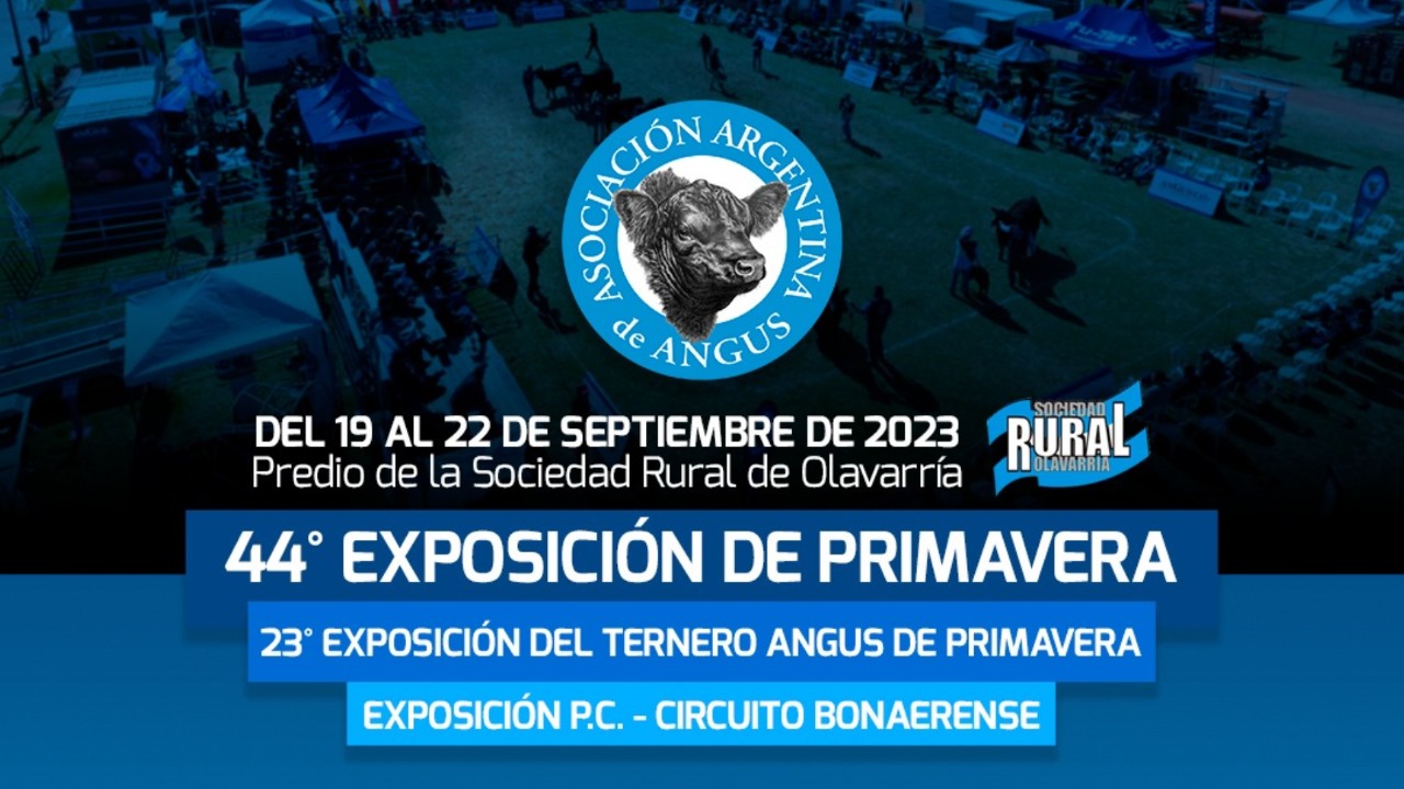Expo Angus 2023