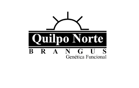 Quilpo Norte