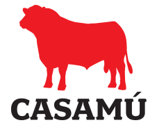 Casamú