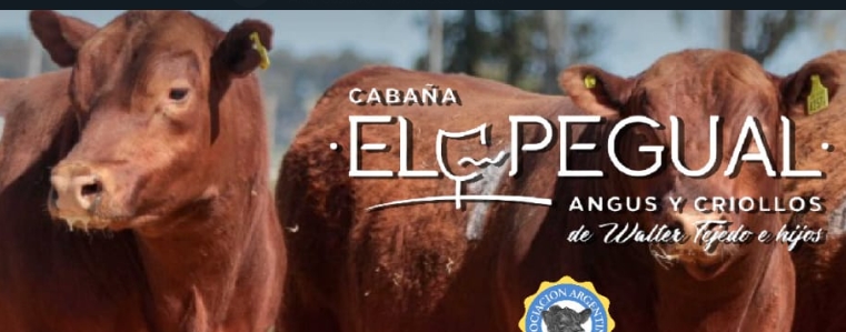 Cabaña El Pegual