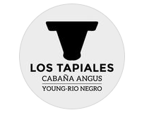 Los Tapiales