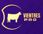 Vientres PRO - URUGUAY