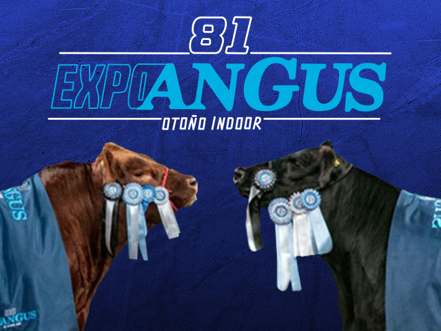ExpoAngus 2024