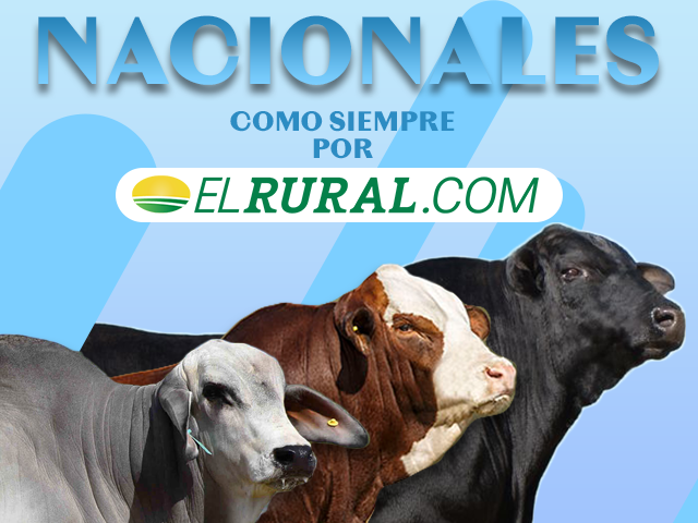 NACIONALES 2024