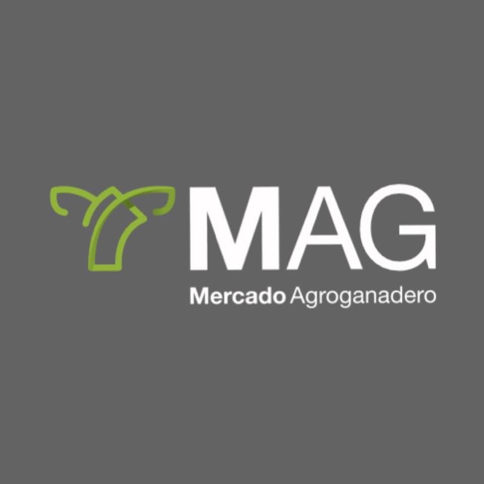 MAG